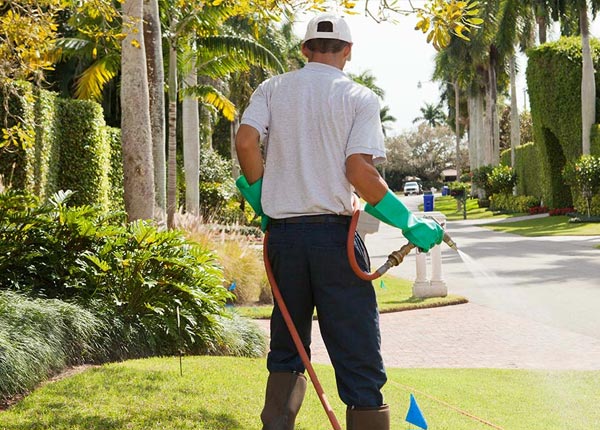 About Pima AZ Pest Control